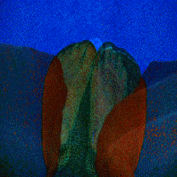 feet